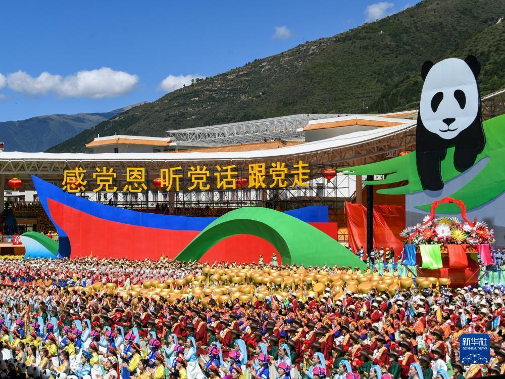 老虎客户端